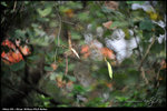 nEO_IMG_LEE_2762