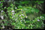 nEO_IMG_LEE_2770