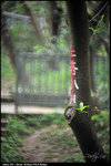 nEO_IMG_LEE_2778