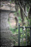 nEO_IMG_LEE_2781