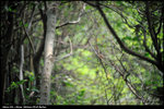 nEO_IMG_LEE_2783