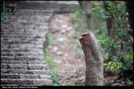 nEO_IMG_LEE_2814