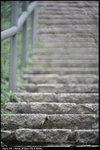 nEO_IMG_LEE_2816