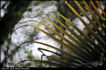 nEO_IMG_LEE_2842