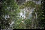 nEO_IMG_LEE_2867