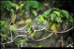 nEO_IMG_LEE_2875