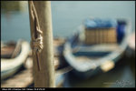 nEO_IMG_LEE_5294