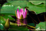 nEO_IMG_DSC_9341