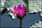 nEO_IMG_DSC_9342