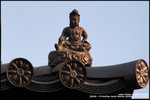 nEO_IMG_DSC_9367