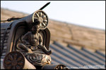 nEO_IMG_DSC_9372