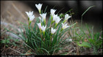 nEO_IMG_LEE_0728