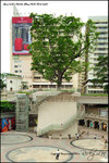 nEO_IMG_LEE_8561