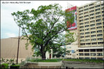 nEO_IMG_LEE_8576