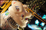 nEO_IMG__LEE2233