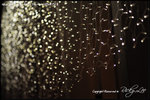 nEO_IMG__LEE2286