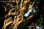 nEO_IMG__LEE2315