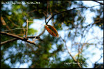 nEO_IMG__LEE2316