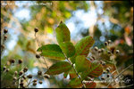 nEO_IMG__LEE2317