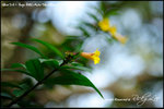 nEO_IMG__LEE2319