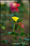 nEO_IMG__LEE2324