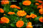 nEO_IMG__LEE2326