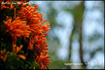 nEO_IMG__LEE2330