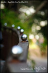 nEO_IMG__LEE2331