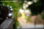 nEO_IMG__LEE2333