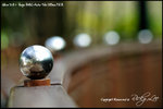 nEO_IMG__LEE2336