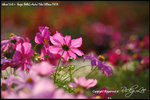 nEO_IMG__LEE2342
