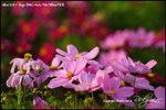 nEO_IMG__LEE2344
