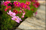 nEO_IMG__LEE2345