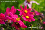 nEO_IMG__LEE2382