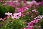 nEO_IMG__LEE2402