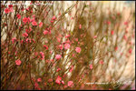 nEO_IMG__LEE2404