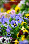 nEO_IMG__LEE2406