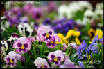 nEO_IMG__LEE2407