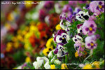 nEO_IMG__LEE2408