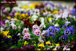nEO_IMG__LEE2410