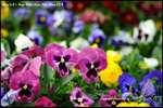nEO_IMG__LEE2415