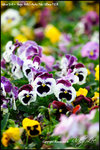 nEO_IMG__LEE2417