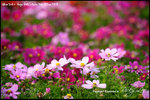 nEO_IMG__LEE2419