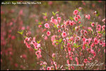 nEO_IMG__LEE2426