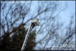 nEO_IMG__LEE2429