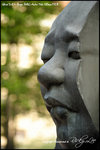 nEO_IMG__LEE2439