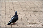 nEO_IMG__LEE2448