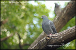 nEO_IMG__LEE2452