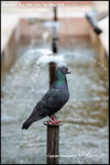 nEO_IMG__LEE2462