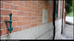 nEO_IMG_DSC03485